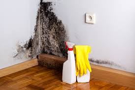 Best Mold Damage Restoration  in Lynnwood Pricedale, PA